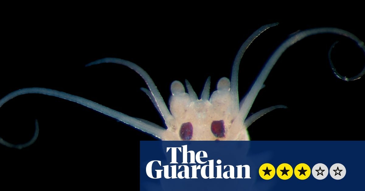 How Deep Is Your Love review – under the sea at Earth’s last frontier with the Psychedelic Elvis Worm