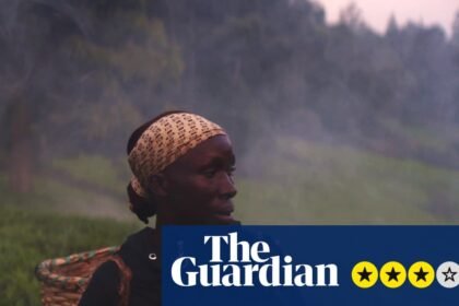 Kikuyu Land review – the colonial-era misery behind our morning cup of tea