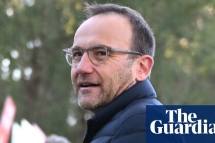 From One Nation to fossil fuels, Adam Bandt and Bob Brown reveal vision for Greens ahead of leadership showdown