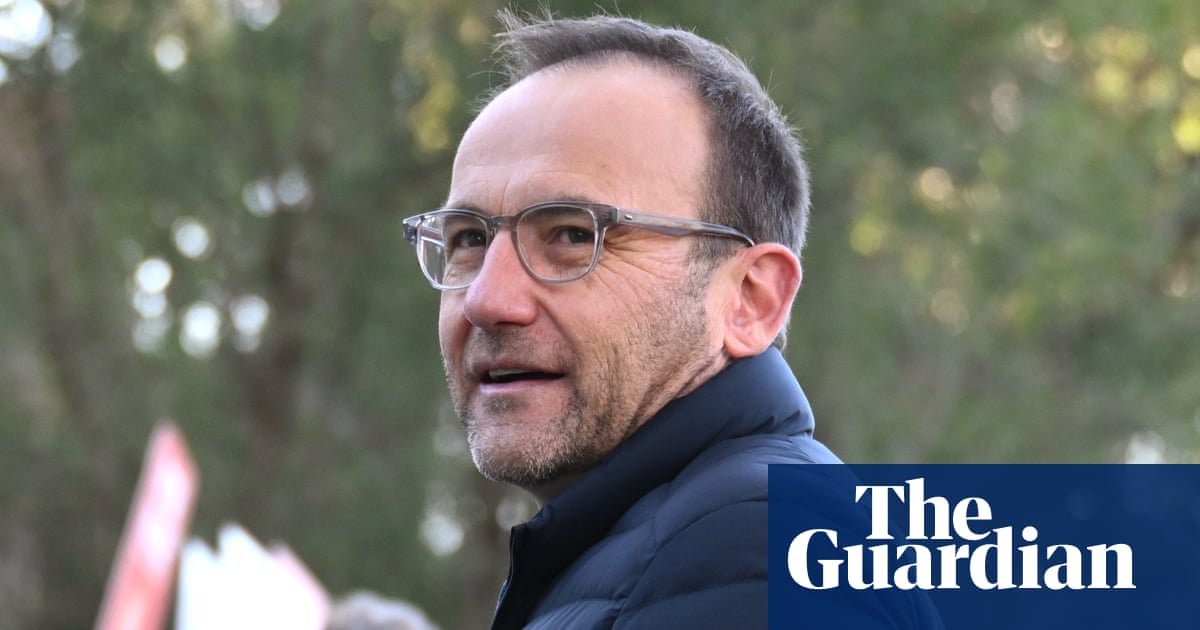 From One Nation to fossil fuels, Adam Bandt and Bob Brown reveal vision for Greens ahead of leadership showdown