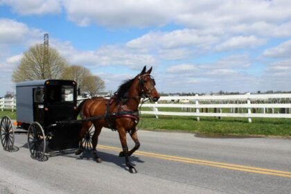 In Amish country, nurses go door to door to stop deadly spread of measles