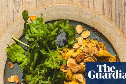 How to turn leftover roast chicken into a brilliant midweek meal – recipe | Waste not