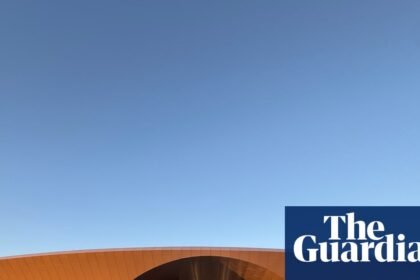 Australia’s newest chicken factory looks like a modern art gallery – but will it improve animal welfare?