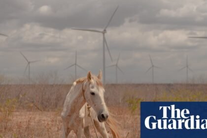 Brazil’s wind farms have been a huge success. So why isn’t everybody reaping the benefits?