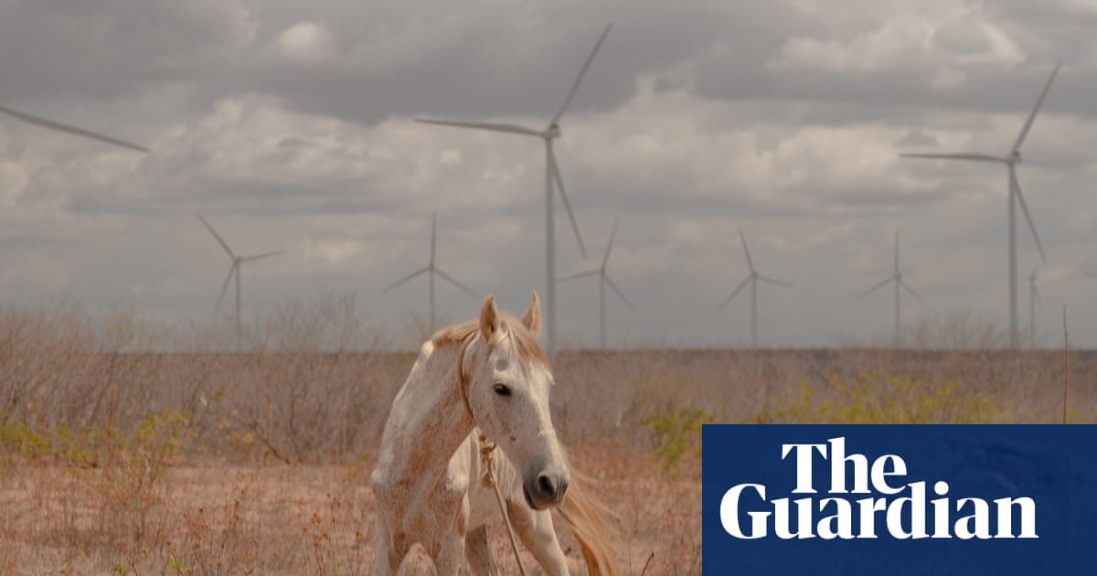 Brazil’s wind farms have been a huge success. So why isn’t everybody reaping the benefits?
