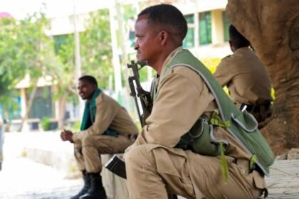 Ethiopia's army says it has repelled attacks in first comment on fresh fighting