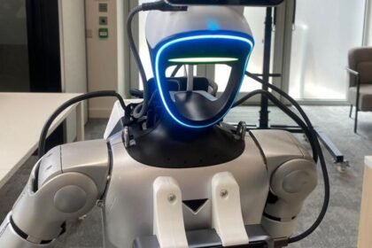 The virtual worlds where robots are trained