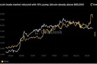 Dogecoin leads market rebound with 15% pump, bitcoin steady above $85,000