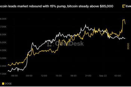 Dogecoin leads market rebound with 15% pump, bitcoin steady above $85,000