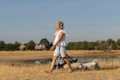 Sunshine returns to parts of UK with warmer and drier weather on way