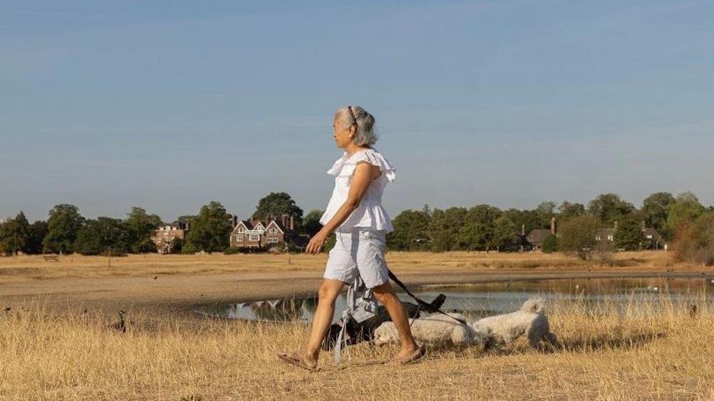 Sunshine returns to parts of UK with warmer and drier weather on way