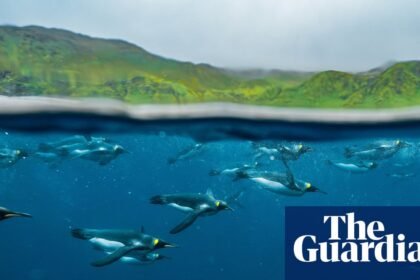 The 2026 BirdLife Australia photography awards – in pictures