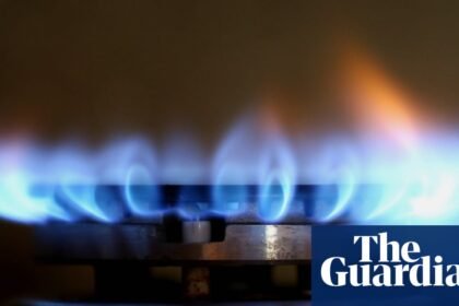 Gas lobby ‘scare campaign’ urges Victoria to scrap ban in new homes, leaked documents show