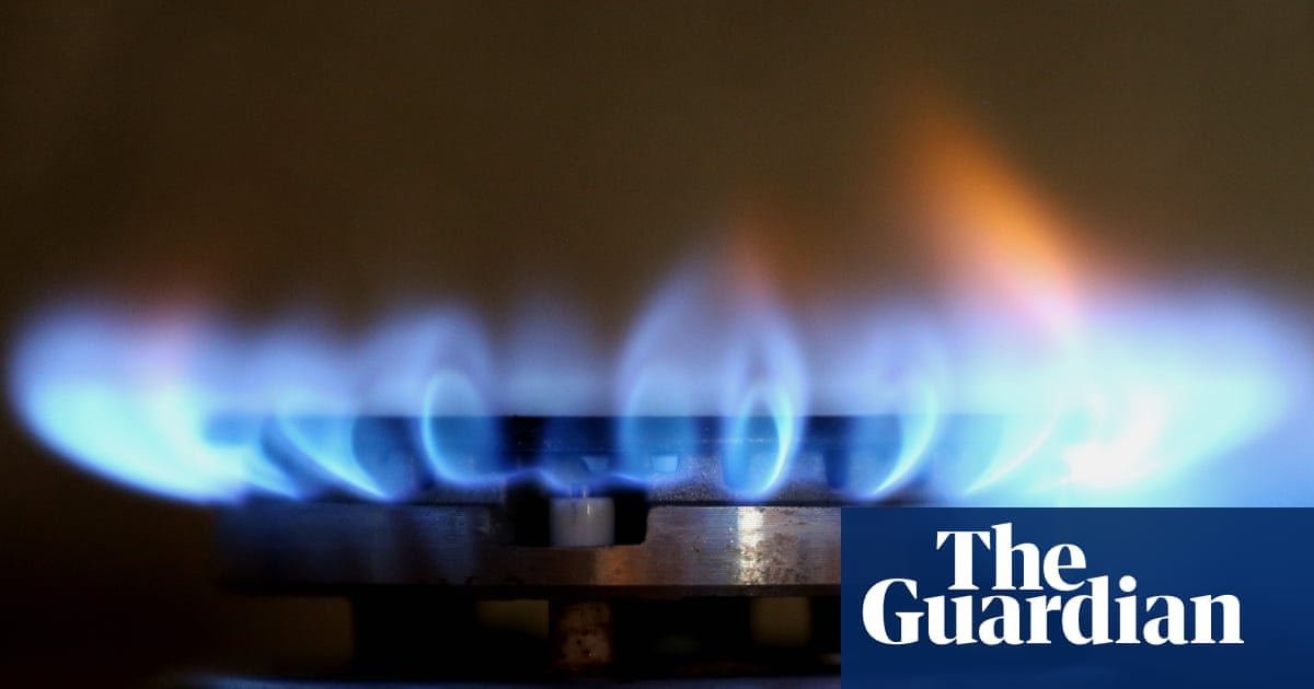 Gas lobby ‘scare campaign’ urges Victoria to scrap ban in new homes, leaked documents show