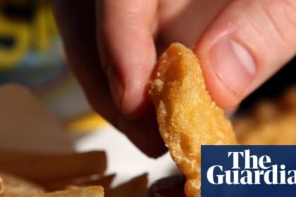 McDonald’s to take on KFC and rivals as Gen Z flock to fried chicken