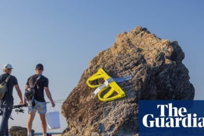 A sea of hands, a giant ‘lifesaver-saurus’ and a melting robot: Queensland’s SWELL sculpture festival 2026 – in pictures