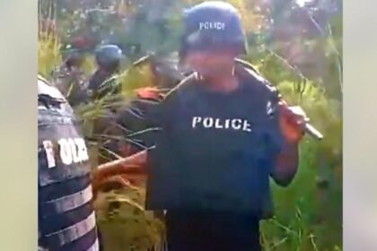 Remains of dozens of suspected kidnap victims found in Nigerian forests