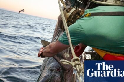 Trump’s executive order on recreational fishing is a ‘giveaway of fish and ocean ecosystem’, advocates warn