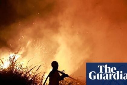 ‘Jaw-dropping’: Super El Niño bursts through temperature record months ahead of peak