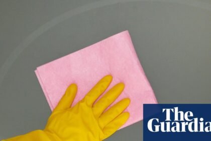 Why your house might be too clean - video