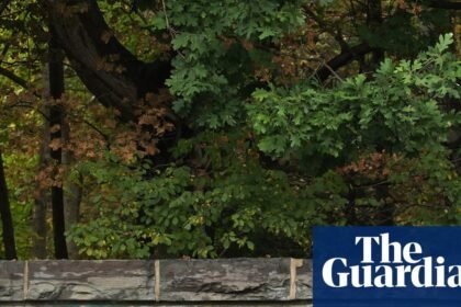 Texts about alleged Cornell gang-rape released after investigation reopened