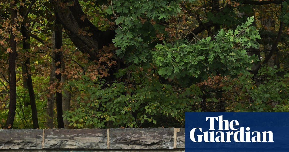Texts about alleged Cornell gang-rape released after investigation reopened
