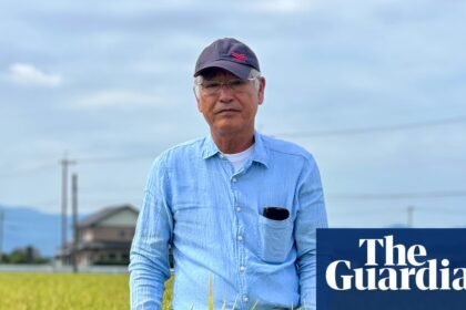 As Japan swelters, farmers turn to new heat-resistant rice varieties to boost staple crop
