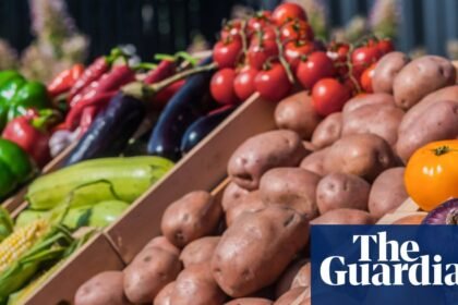 Likelihood of eating fresh produce increases with income for US adults, new CDC report shows