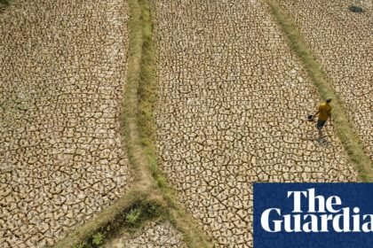 ‘Forcing a reckoning’: How Asia is preparing for a ‘supersized’ El Niño