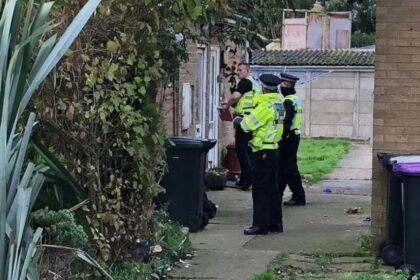 Woman detained indefinitely for stabbing two boys