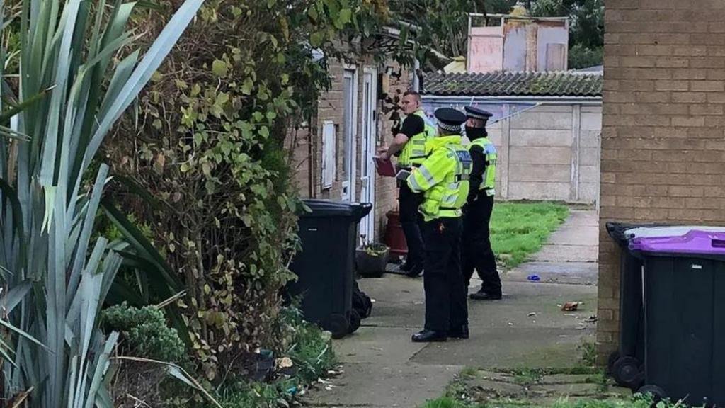 Woman detained indefinitely for stabbing two boys