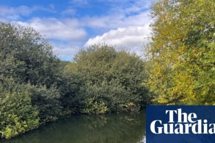 Country diary: Never mind the Bayeux – this is where the Battle of Stamford Bridge took place 960 years ago today | Amy-Jane Beer