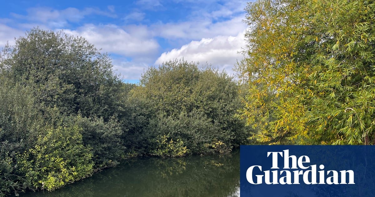 Country diary: Never mind the Bayeux – this is where the Battle of Stamford Bridge took place 960 years ago today | Amy-Jane Beer