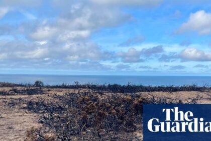 Country diary: The land here is scarred from a year of hard weather – now what will winter hold? | Alexandra Pearce-Broomhead