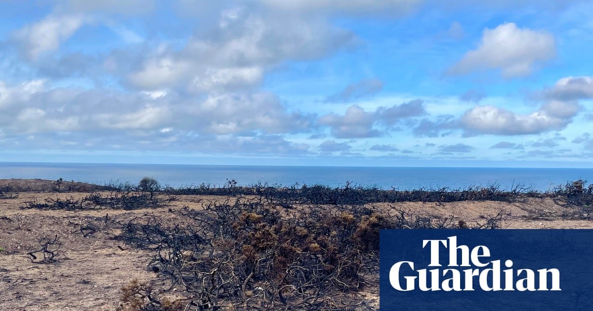 Country diary: The land here is scarred from a year of hard weather – now what will winter hold? | Alexandra Pearce-Broomhead