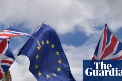 No 10 gathering evidence on public support for rejoining the EU