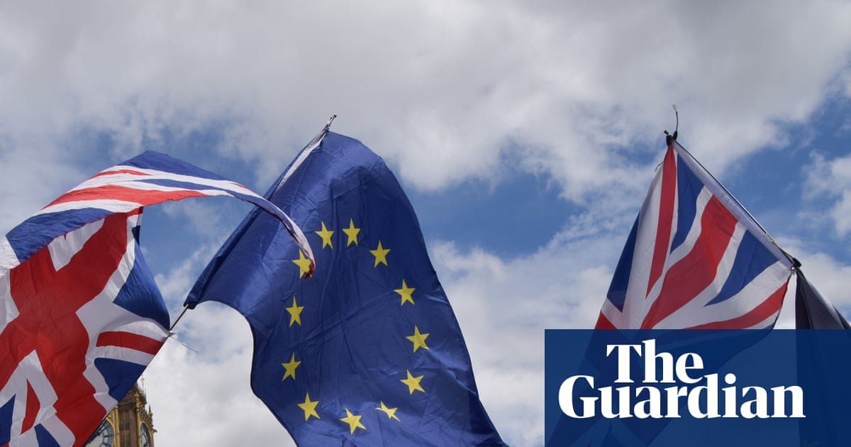No 10 gathering evidence on public support for rejoining the EU