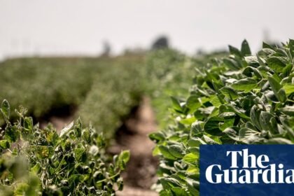 US environment agency let Bayer pick regulations for destructive weedkiller, documents show