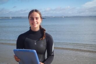 Seahorse habitats 'healing' thanks to eco-moorings