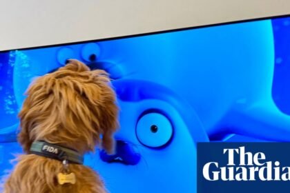 ‘We didn’t set out to make a show for animals!’ The Netflix seal cartoon that’s a huge hit … with pets