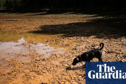 What is El Niño, what causes it and can we reduce the risks?