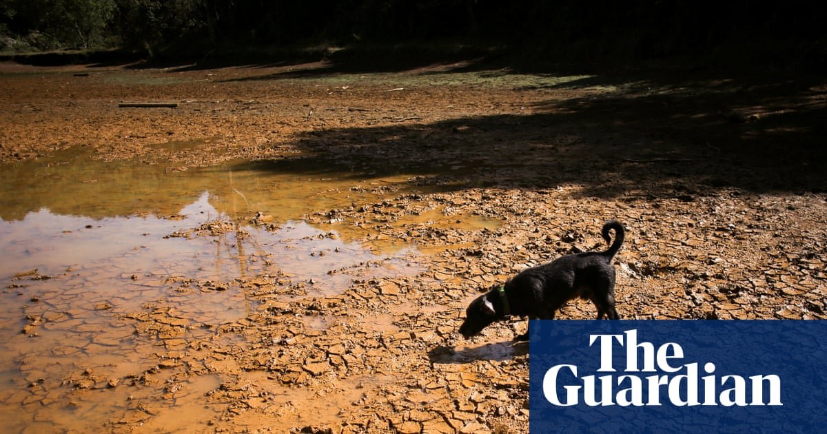What is El Niño, what causes it and can we reduce the risks?