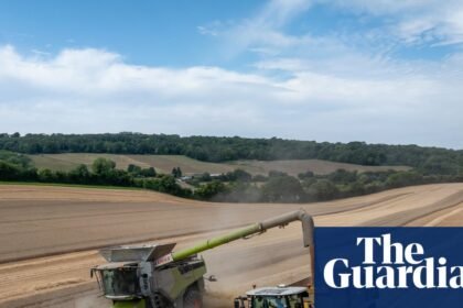 ‘Worse than the scramble for Oasis tickets’: England’s sustainable farming funds run out in just six hours