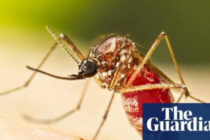 Dengue fever outbreak prompts Florida counties to declare state of emergency