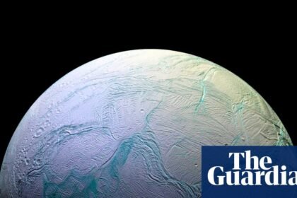 Earth microbes survive simulated conditions of Saturn moon’s ocean