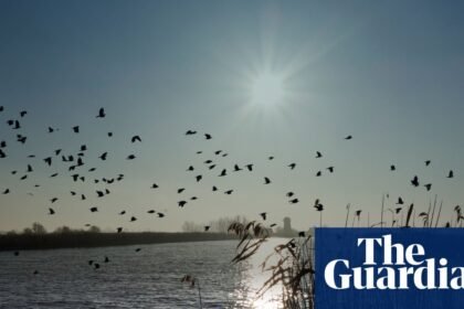 ‘Cash to trash’ levy on house developers too low to offset damage to Norfolk Broads, say critics