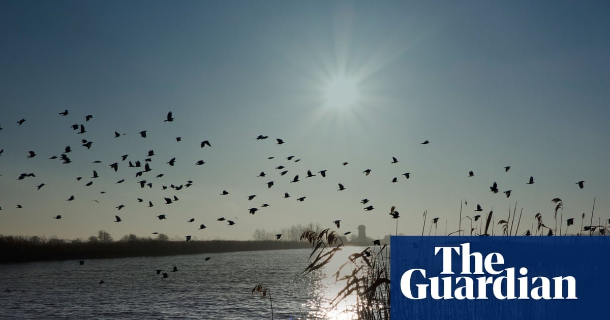 ‘Cash to trash’ levy on house developers too low to offset damage to Norfolk Broads, say critics