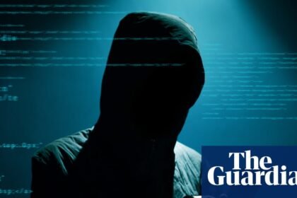 Swedish teenager jailed for attempted murder, rape and assault committed online, with victims in Germany and Australia