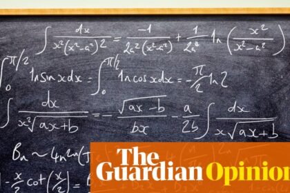 The Guardian view on AI v mathematicians: humans are still vital to the field, but tech firms refuse to see that | Editorial