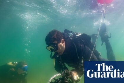 ‘Inredibly enouraging’: healing the scars of traditional anchors in Dorset’s seagrass meadows